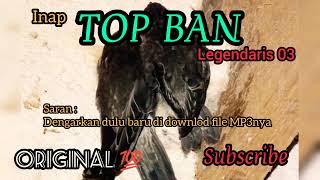 Download lagu Suara inap walet TOP BAN Arif Budiman mp3
