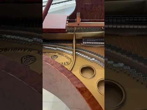 Inside of a Steinway Grand Piano