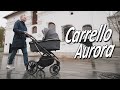 миниатюра 1 Видео о товаре Коляска 2 в 1 Carrello Aurora CRL-6505 / 2023, Silver Grey (Светло-серый)