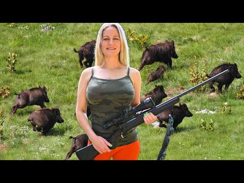 HOG HUNTING QUEEN: Invasive Mother Sow & Piglets Get Bountied by 6.5 Creedmoor
