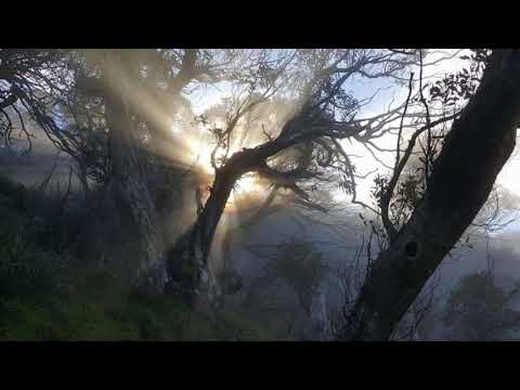 Am$trad Billionaire - The Plan