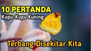 Download lagu REZEKI DARI LANGIT !! 10 PERTANDA KUPU KUPU KUNING TERBANG DISEKITAR KITA mp3 Download lagu REZEKI DARI LANGIT !! 10 PERTANDA KUPU KUPU KUNING TERBANG DISEKITAR KITA mp3