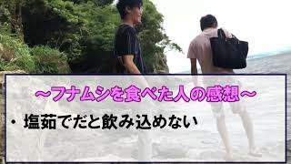 【第12回不毛会】江ノ島の旅！！