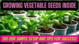 Growing Vegetable Seeds Inside