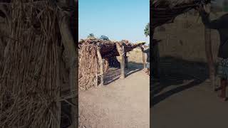 African village life #shortvideo
