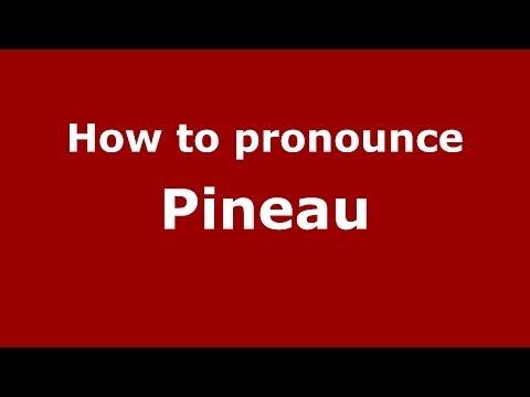 How to pronounce Pineau (French/France) - PronounceNames.com
