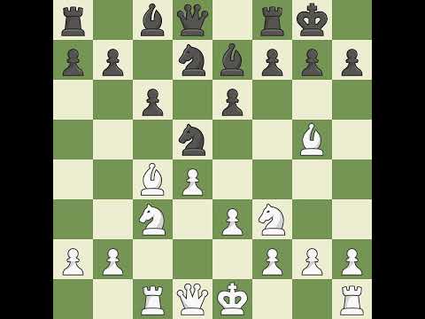 Marin Y Llovet Valentin VS Wagner Heinrich (GER)