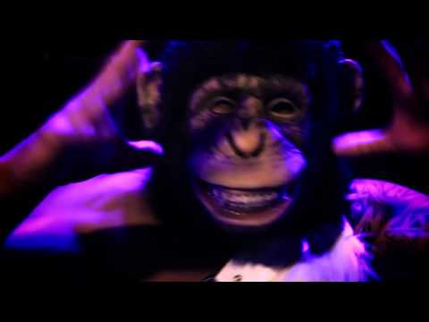 Opening Monkey Beach 2015