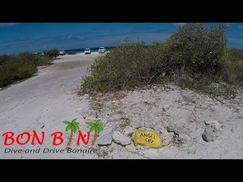 Dive site Angel City Bonaire by Bon Bini Dive & Drive