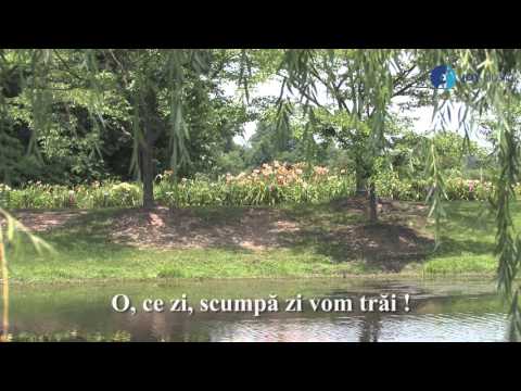 Luiza Spiridon - Aşteptăm marea zi