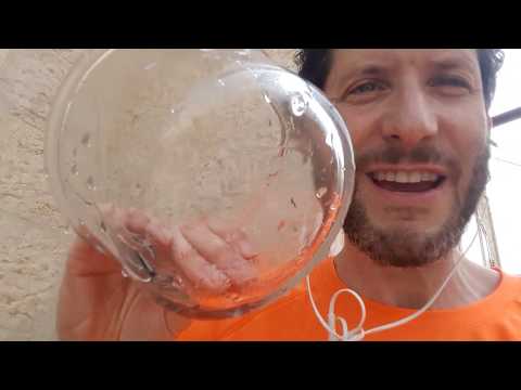Being Jewish - how to make tevilat kelim dipping dishes mikveh