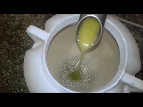 Production huile extra vierge d'olive TAYMATE 2019