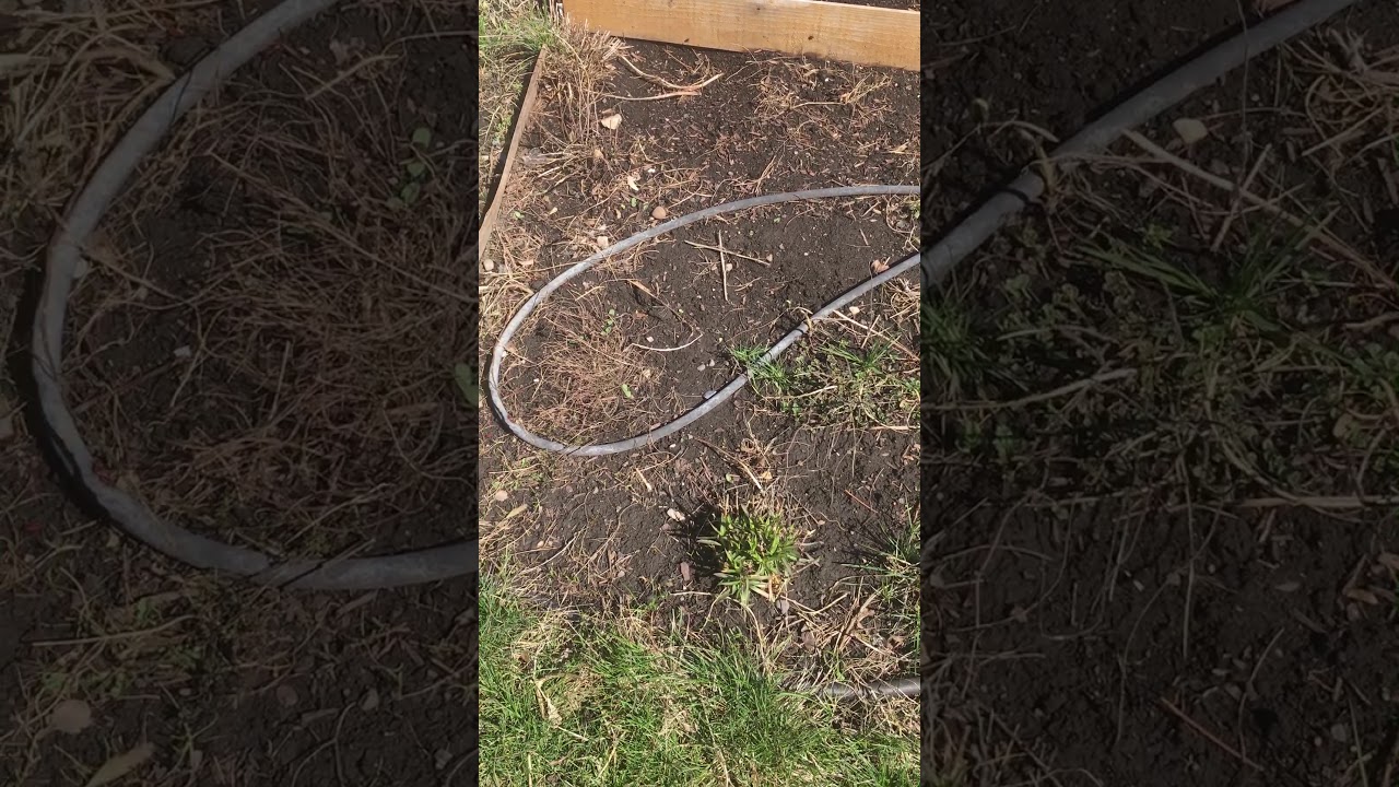 Early Spring 2018 Garden Tour Getting Ready for Veggies and Flowers!