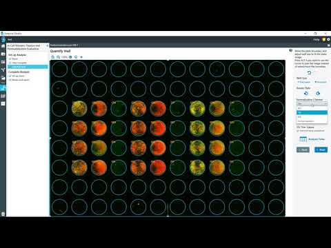 Empiria Studio® Software 2.0: Fixation and Permeabilization Workflow for In-Cell Western™ Assays