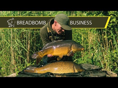 Breadbomb Business - Alan Blair