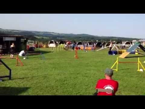 Gitta Kramprich & Kiwi, A1-Lauf; Sg-Pl.5; Reetz