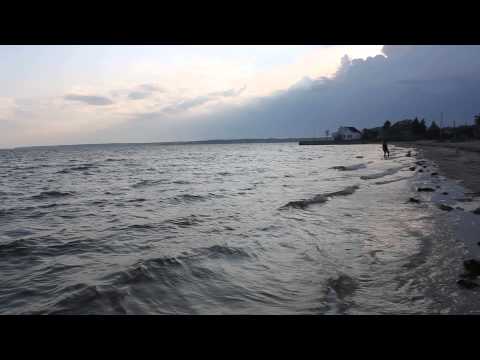 Jaina, neighbhors, fam and Webby's