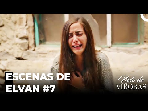 Escenas De Elvan #7 - Nido De Víboras