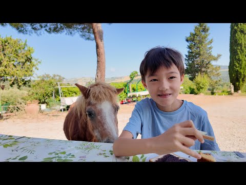 Italy: Tuscany Magic, Medieval Towns & A Dinner Surprise!