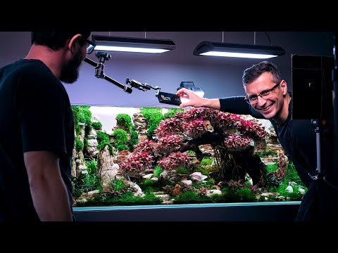 HOW TO TAKE A PLANTED TANK PHOTO - CONTEST TANK PHOTOGRAPHY GUIDE