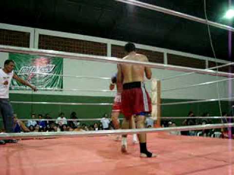 Luta Pulguinha part3