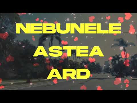 Dan Nebunu - Cald feat. André