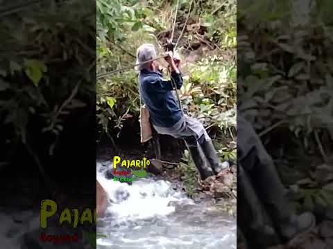 Paso cerrado a salto de candelas. El puente está caído (Mayo 1/ 2026)