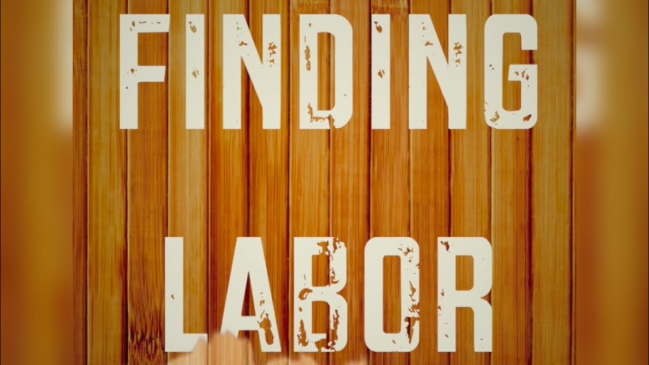 Finding Labor