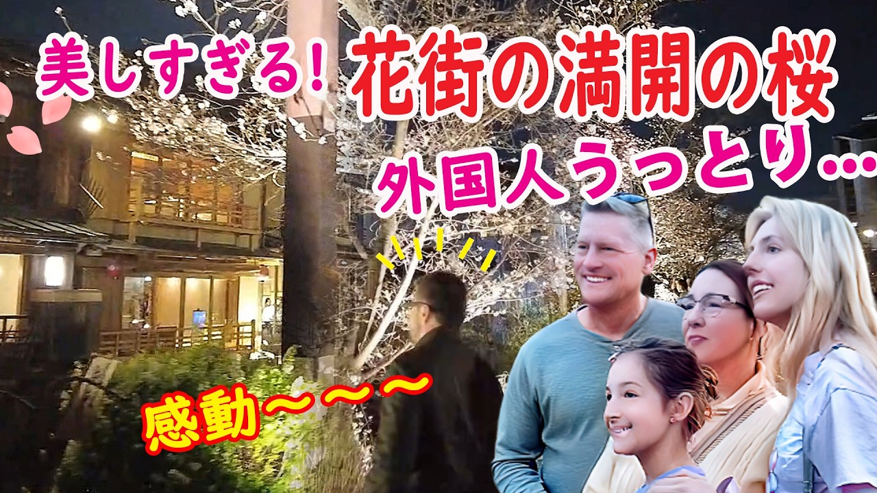 【初めて見た！】清流が映す風情あるお茶屋！花街の夜桜に外国人感動！京都 花街 祇園 白川　八坂神社