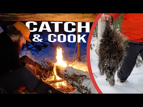 Lost Hunter Solo Survival Challenge (NO Food, NO Water, NO Shelter), Leatherman Free