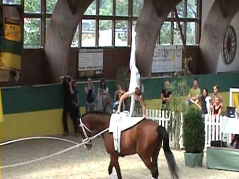 CVI** Krumke - Jana Linicus, Thorben Hoppe