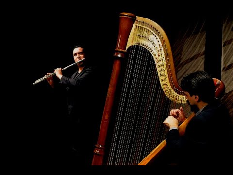 Duo Arcanum- A luz dourada da tarde nas gotas de chuva (Gabriel Telles de Mello) Harp and flute