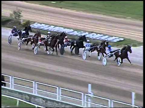 Trotto 23/10/2014 - 3° corsa