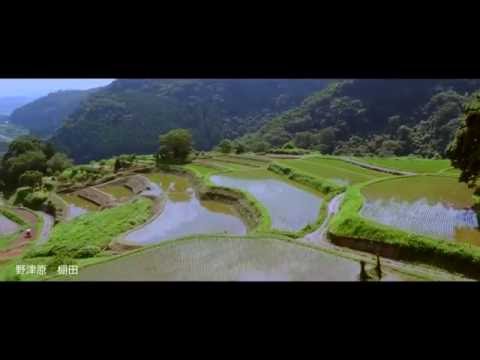 野津原棚田-Notsuharu Terraced Rice Paddles-【OITA CITY -the bird view-】