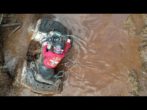 Aventura 4×4 Capítulo 11