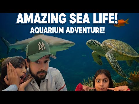 Enter America’s Largest aquarium!! DETROIT SEA LIFE AQUARIUM (USA)