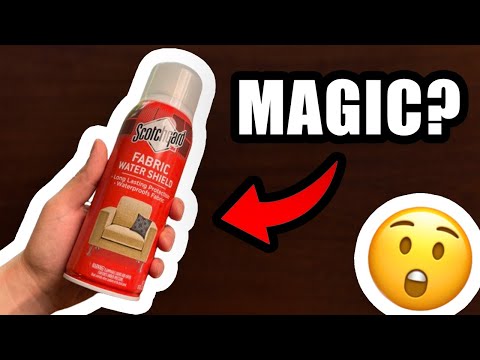 The ONE Thing To Know Before Using Scotchgard Fabric Water Shield (Important)