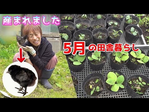 鬼嫁とボクの田舎暮らし