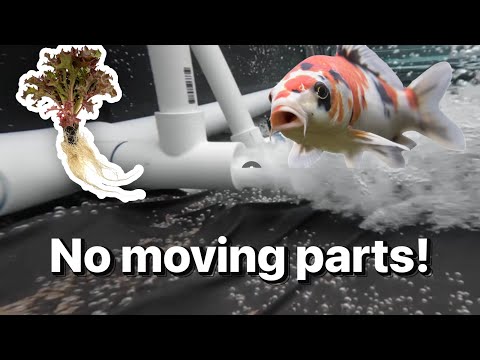 Stop using airstones!! Use a $2 venturi instead!