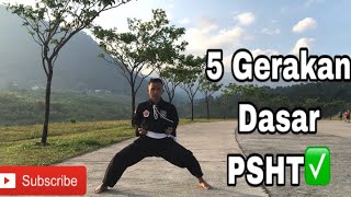 Download lagu 5 Gerakan Dasar PSHT yang Baik Dan Benar✅‼️ mp3