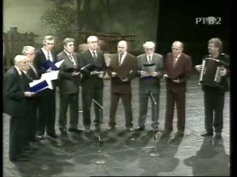 V ŠIRIM POLJU - Grupa NOVOSADSKI TOVARIŠE