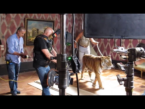 EUROMEDIA - BACKSTAGE - ROBERTO CAVALLI   -  Steadicam by F.Buffa