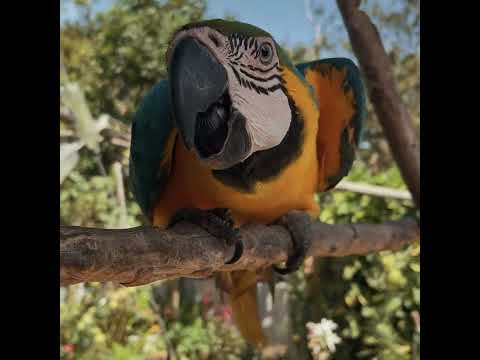 Visitamos la Vereda Clavellinas en Aratoca, Santander