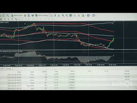 Video Waterstrider BulletProof