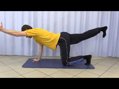 Arme und Beine strecken im Vierfüßlerstand