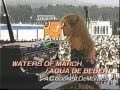 Eliane Elias Trio / Waters of March ~ Agua de Beber (1990)