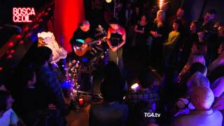 Róisín Elsafty &amp; Enda McCabe - 'Lowlands of Holland'