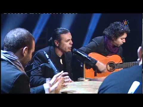 Navajita plateá - No se enteran de ná