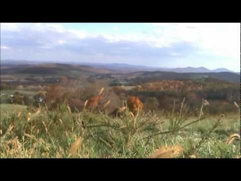 The Beauty Of The Days Gone By video