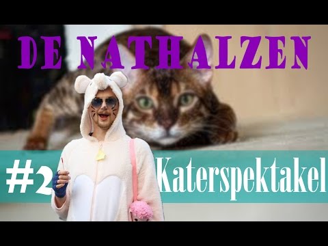 De NAThalzen #2 | Katerspektakel